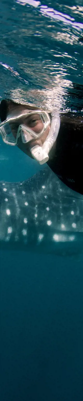 Auf Isla Holbox relaxen und mit Walhaien schnorcheln